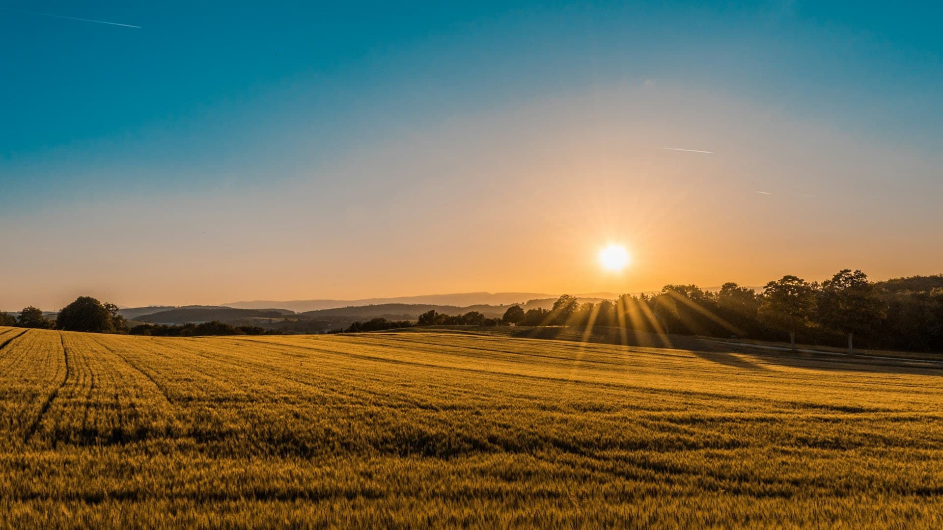 Sunlit farmland at golden hour